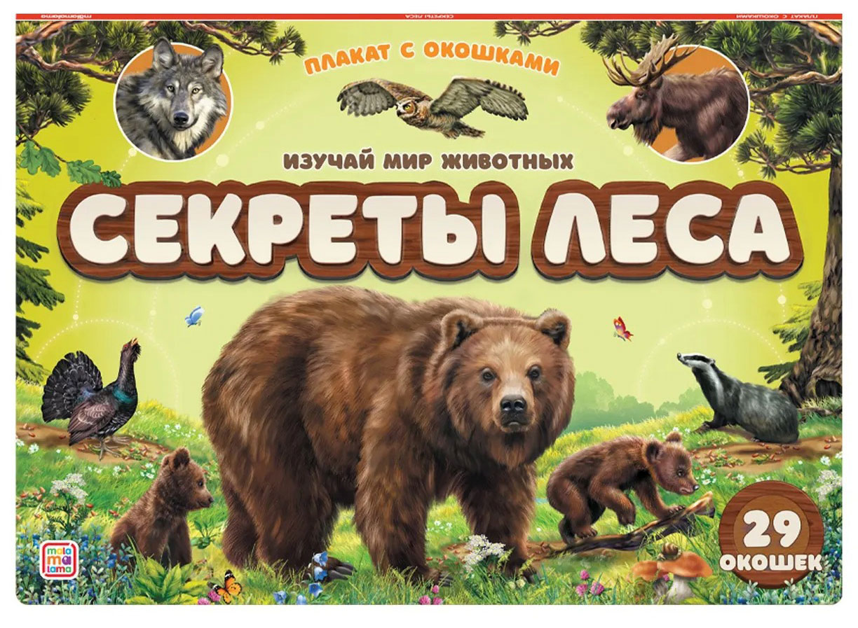 Картинка Плакат с окошками. Секреты леса Артикул 348207-30