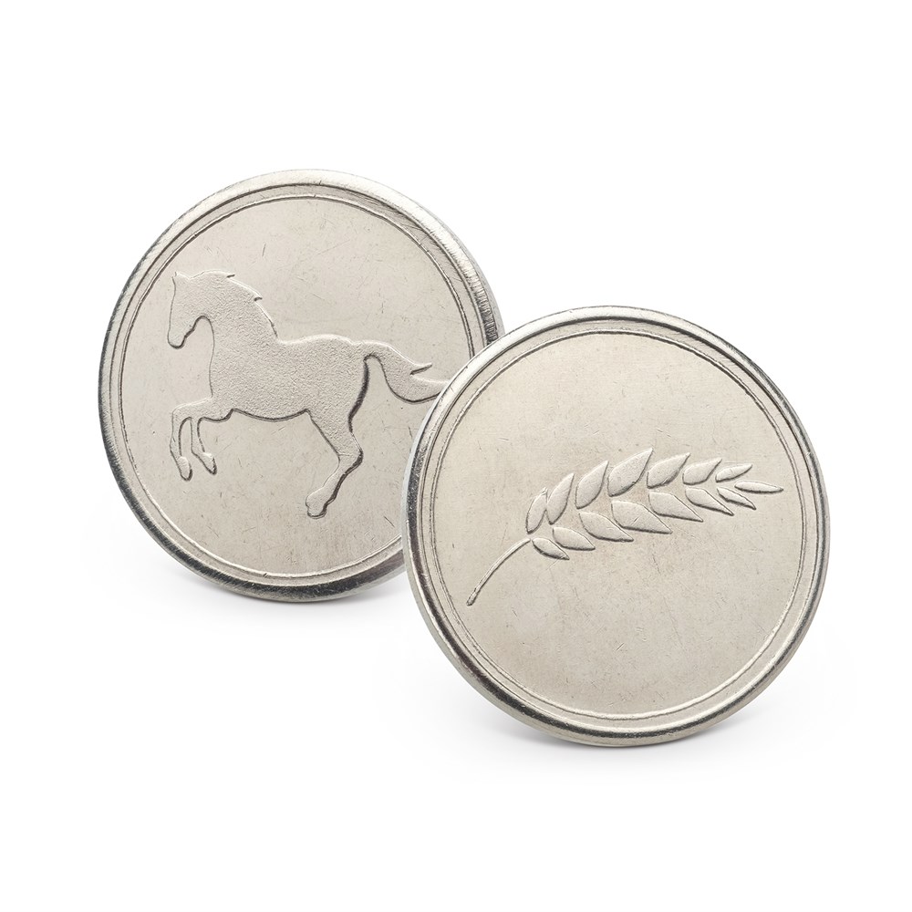 Картинка Раскопки с монетами.Кельты (Бумбарам) Артикул 26 ст-24