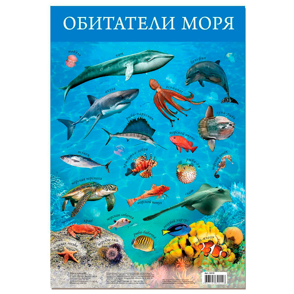 Картинка 3410 Плакат. Обитатели моря Артикул 87338