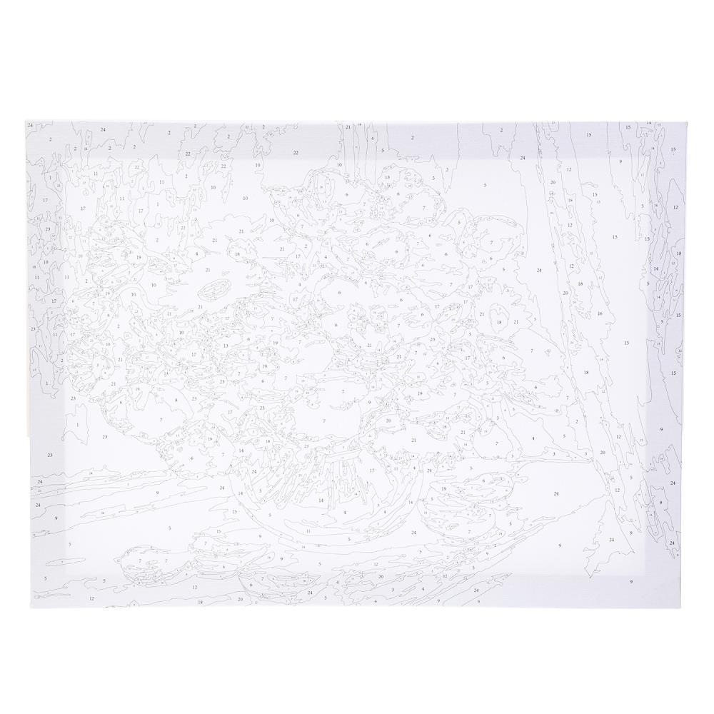 Картинка Картина по номерам 30х40 см маки МУЛЬТИ АРТ Артикул CANV30X40-MULTI12