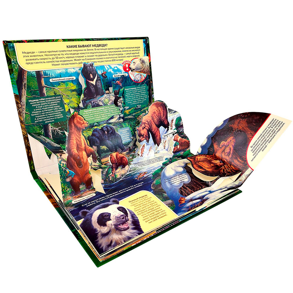 Картинка POP UP энциклопедия. Хищники книжка-панорамка Артикул 9785001347262