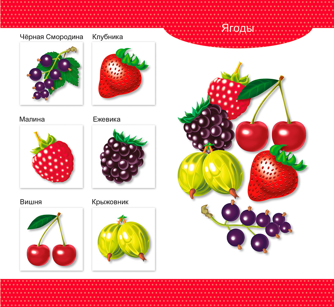 Картинка Лото деревянное Овощи и фрукты Десятое Королевство Артикул 01996-30